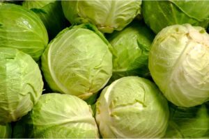 All Season Cabbage