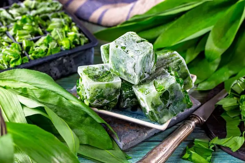 Freezing is an excellent way to preserve wild garlic