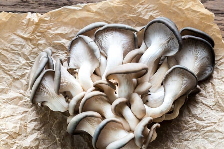 How To Store Oyster Mushroom