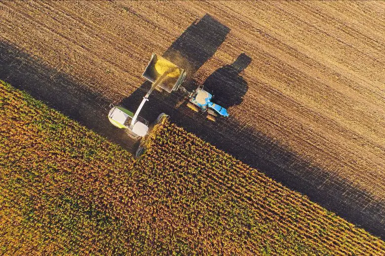Harvesting Period of Corn in Kansas