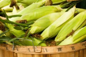How Many Bushels Of Corn Can A Semi Haul