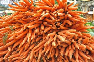How Many Carrots Does One Plant Produce