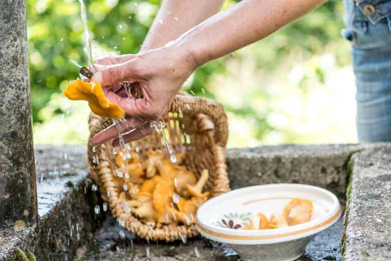How To Clean Chanterelle Mushrooms