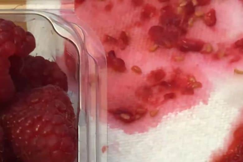 How To Remove Raspberry Seeds Without A Strainer