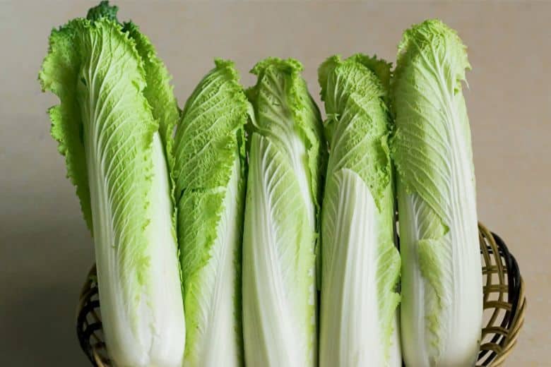 Nutritional Profile of Napa Cabbage