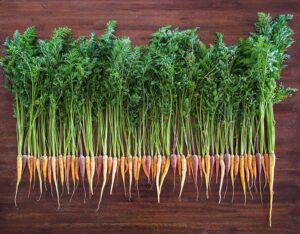Growing Carrots In Colorado
