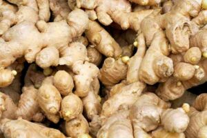 Can Ginger Survive Winter? Methods for Cold Climates