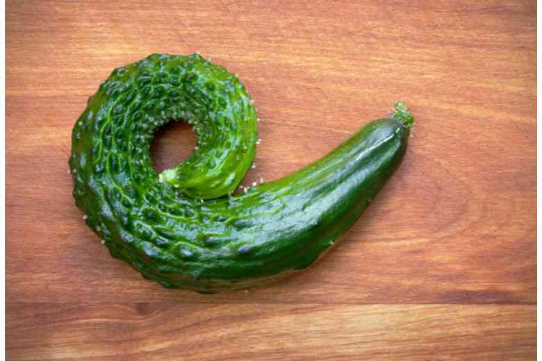 What Causes Cucumbers To Curl