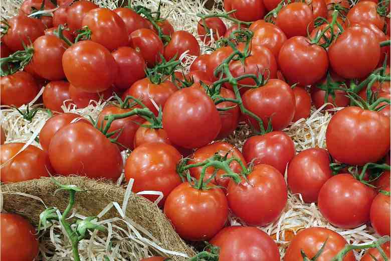 What Is Tomato Truss