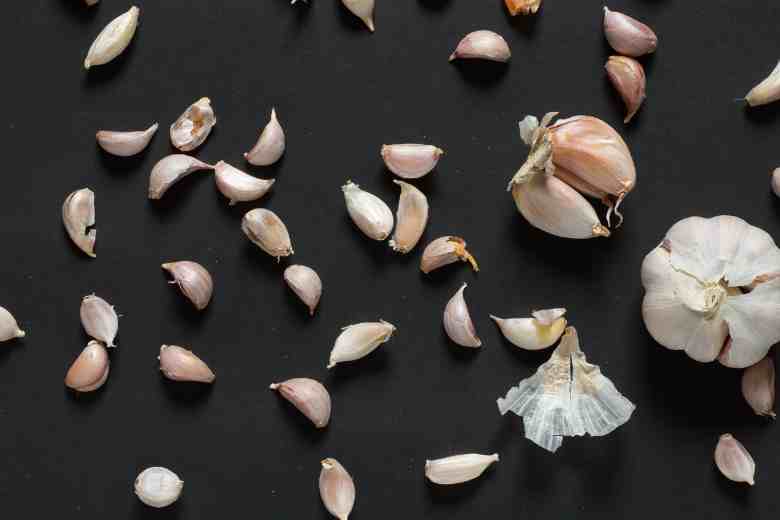 When To Plant Garlic Georgia